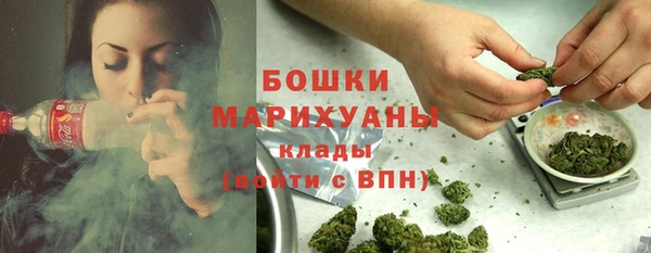 шишки Няндома