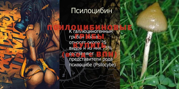 твердый Нягань