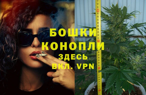 шишки Няндома