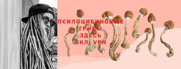 альфа пвп Новодвинск
