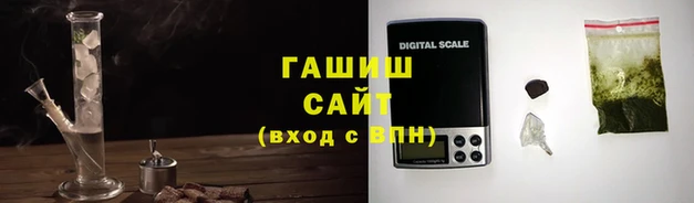 шишки Няндома