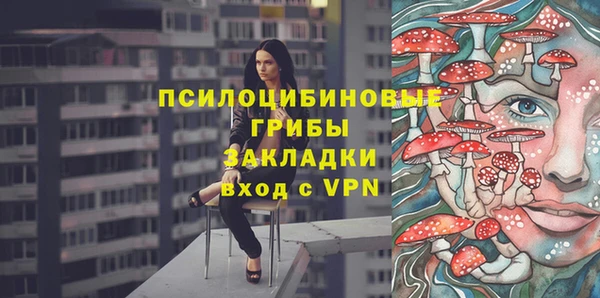 шишки Няндома