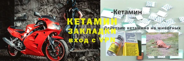 альфа пвп Новодвинск