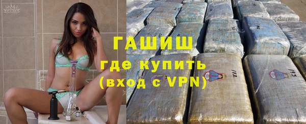 шишки Няндома