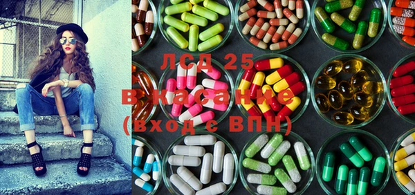 шишки Няндома